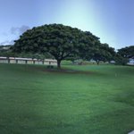 Photo by Neil Battad (@Principal_MLES)