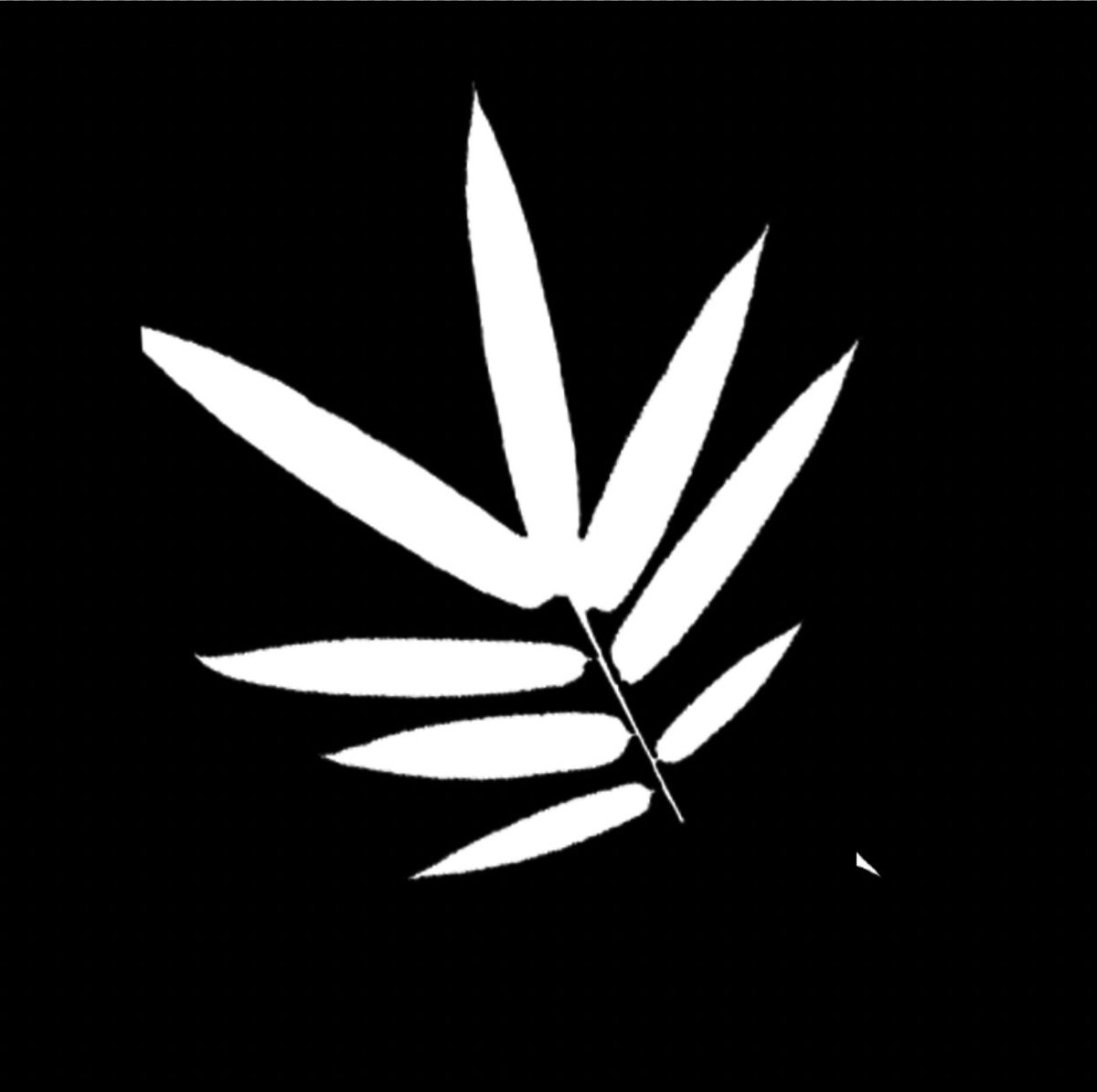 It's starting to look more like a bamboo forest. However, looking at my reference, the bamboo misses some foliage. I'm a big fan of particles, and I love using them to quickly scatter leaves and ivy. Later on, for performance, I baked them to a mesh.