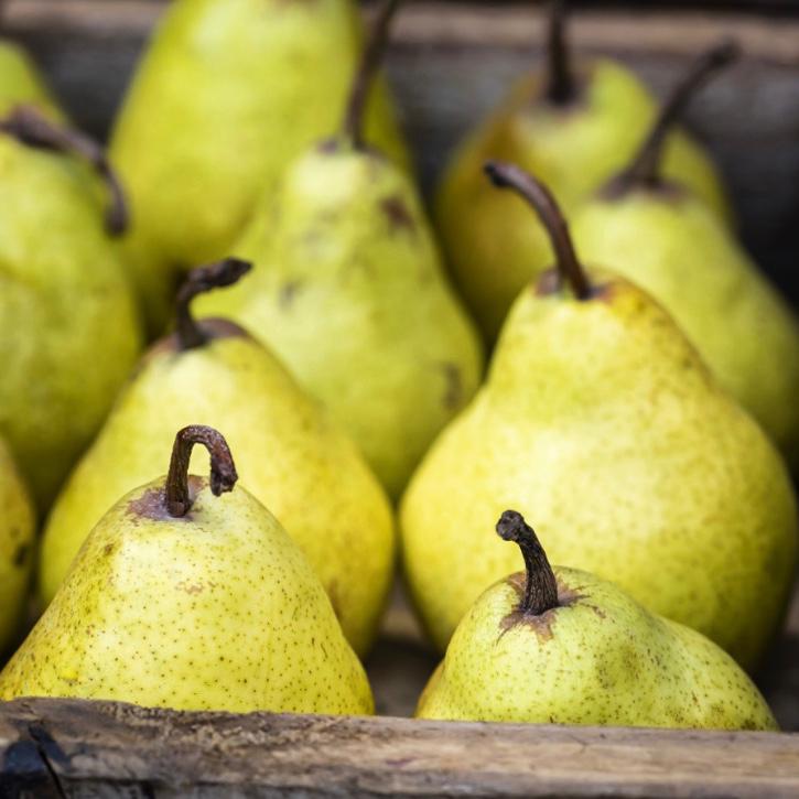 classicvegbox's tweet photo. These large sweet Williams pears have a lovely smooth texture and a juicy flesh.
#classicvegbox #homedelivery #vegetables #fruit #cook #chef #lockdown #contactlessdelivery #foodie #londonfoodies #homecook #pear #williamspears https://t.co/ZTc20CLa4E