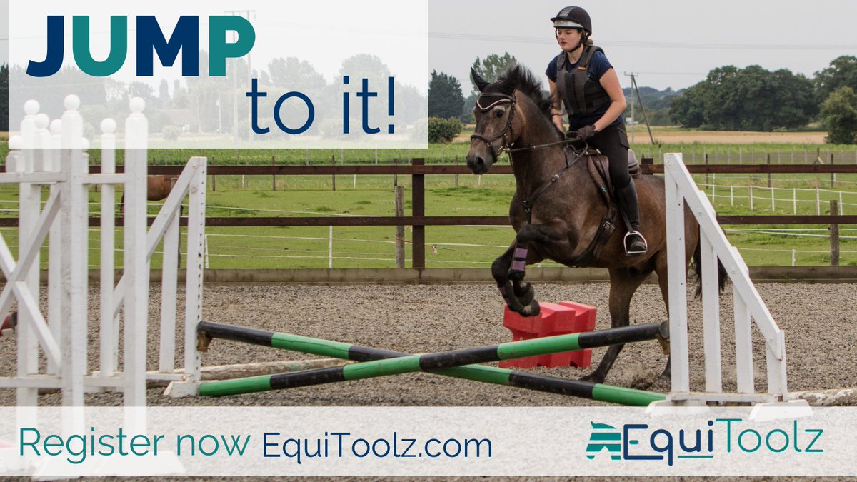 EquiToolz tweet media