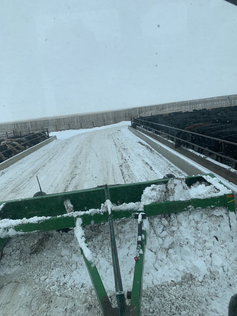KeenanSmith20's tweet photo. Moving snow again. Good thing my buddy is here to help me out! #happybeef https://t.co/LWE13nljAg