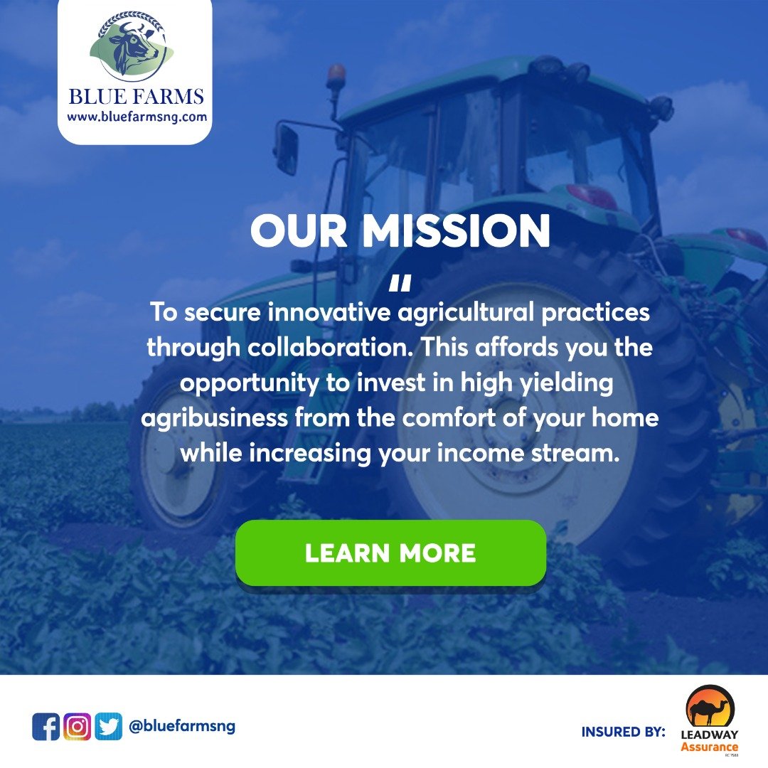 bluefarmsng's tweet photo. We are here to secure innovative agricultural practices via collaboration as this gives you the opportunity to invest in high yielding agribusiness from the comfort of your home while increasing your streams of income. 

Learn more on https://t.co/OCIPZ0suEJ

#bluefarms https://t.co/3rGqFVCoV1