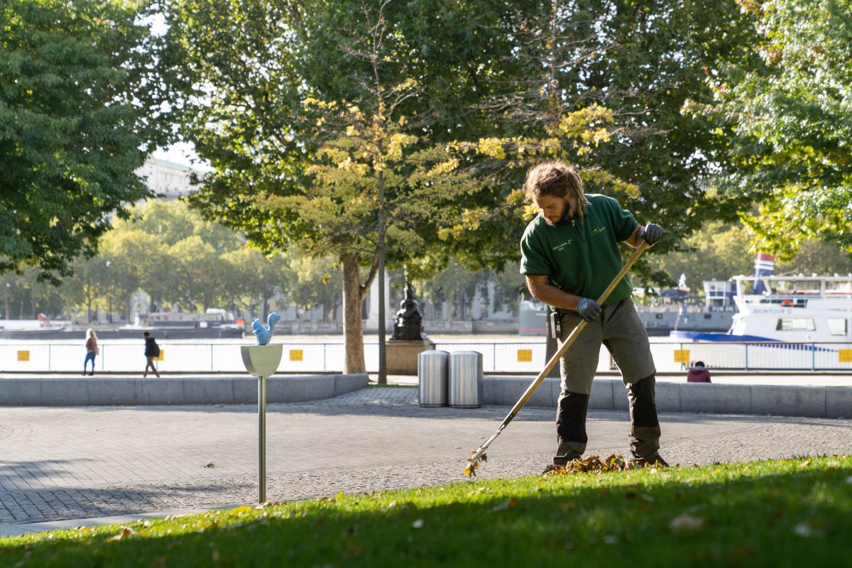 Jubilee Gardens (@jubilee_gardens) on Twitter photo As the leaves are now falling en masse our garden team are spending plenty of time clearing them up & keeping #JubileeGardens looking spick & span - here's Vittorio busy raking leaves up in the sunshine! #autumjobs <a href="/GavinJonesLtd/">Gavin Jones Ltd</a> <a href="/TheNurtureGroup/">The Nurture Group</a> As the leaves are now falling en masse our garden team are spending plenty of time clearing them up & keeping #JubileeGardens looking spick & span - here's Vittorio busy raking leaves up in the sunshine! #autumjobs <a href="/GavinJonesLtd/">Gavin Jones Ltd</a> <a href="/TheNurtureGroup/">The Nurture Group</a>