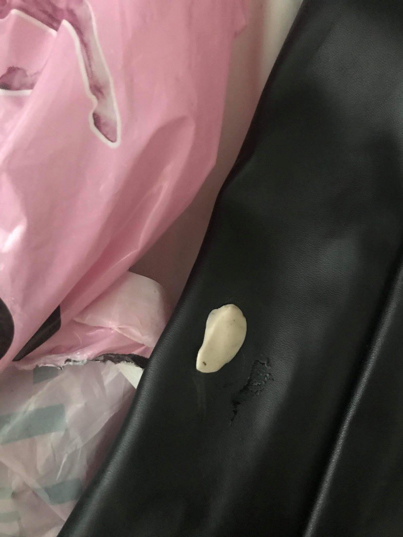 isabella tweet media