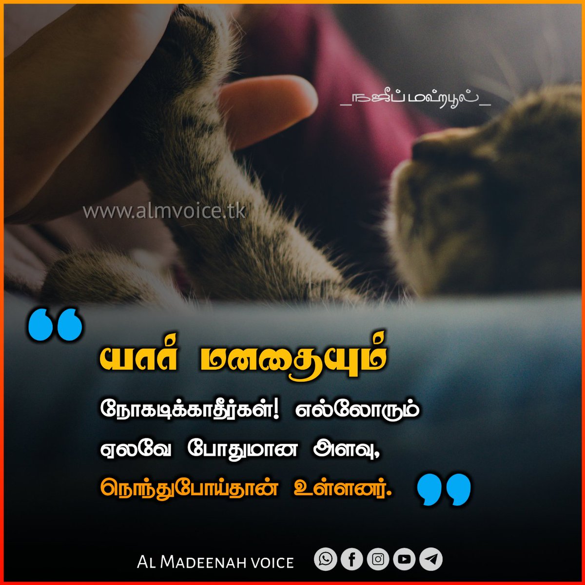 MadeenahVoice's tweet photo. https://t.co/zLCETBrq7N