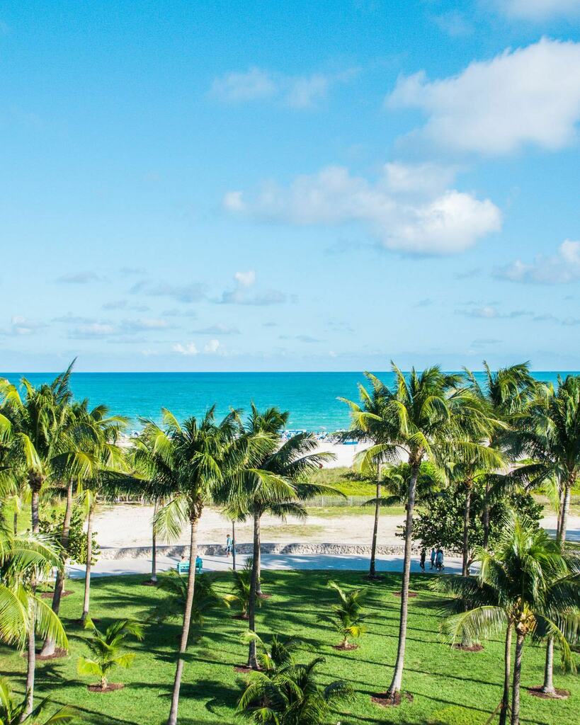 TheMiamiGuide's tweet photo. Happy #TurtleTuesday Miami π’π΄
Let us keep our oceans clean π
Leave a π in the comments and follow @miamidadeseaturtles to show your love for Miami Sea Turtles!
#SaveMiamiSeaTurtles #miamibeach #miamivibes #marinelife #oceanlife #miamidadeparks #mi⦠https://t.co/j88cqHQakd https://t.co/PYMpWVU9u0