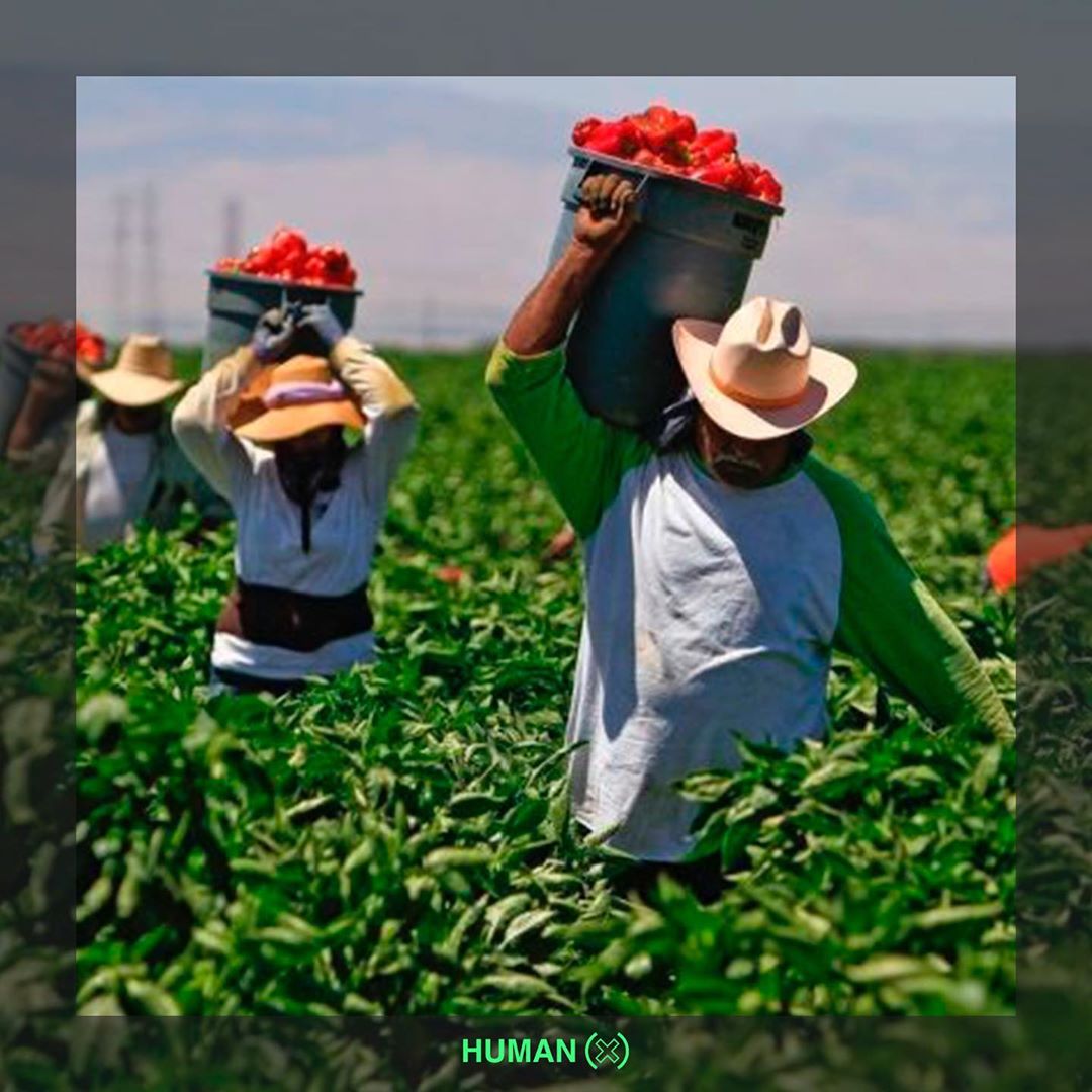 HumanXOrg's tweet photo. Stream and watch #PaLaCultura to support our day laborers.
-
Escucha y mira #PaLaCultura para apoyar a nuestros jornaleros.
#WeAreHumanX #SOMOSHUMANX https://t.co/TMZyev3nxn