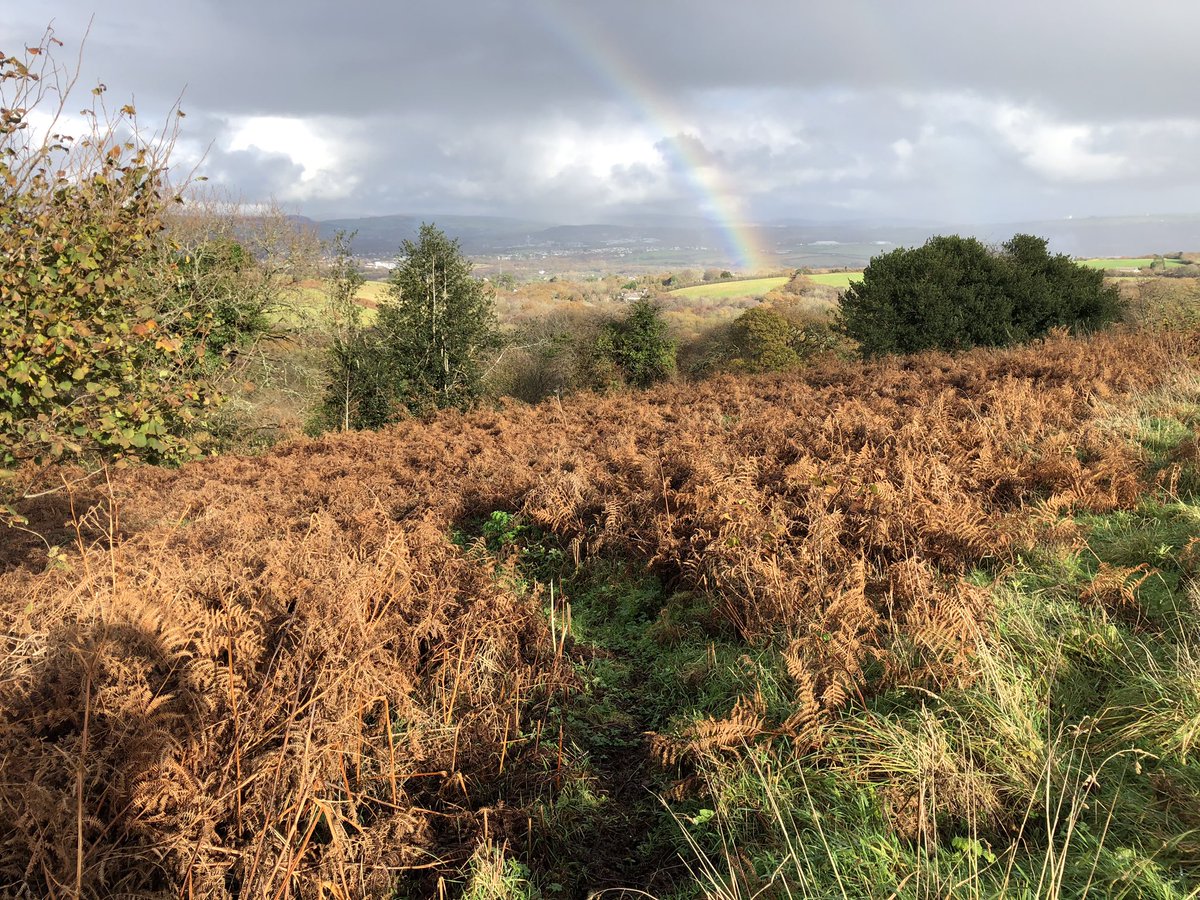 RamblersCymru's tweet photo. Venturing to another train station today, we were joined by a local county councillor and @SWWConnected as we explored Gowerton looking for great walking routes to visit by rail. #sustainabletravel #sustainabletransport #pathsforpeople #rightsofway #walkingsbrilliant #getoutside https://t.co/HDnTEP3XTp