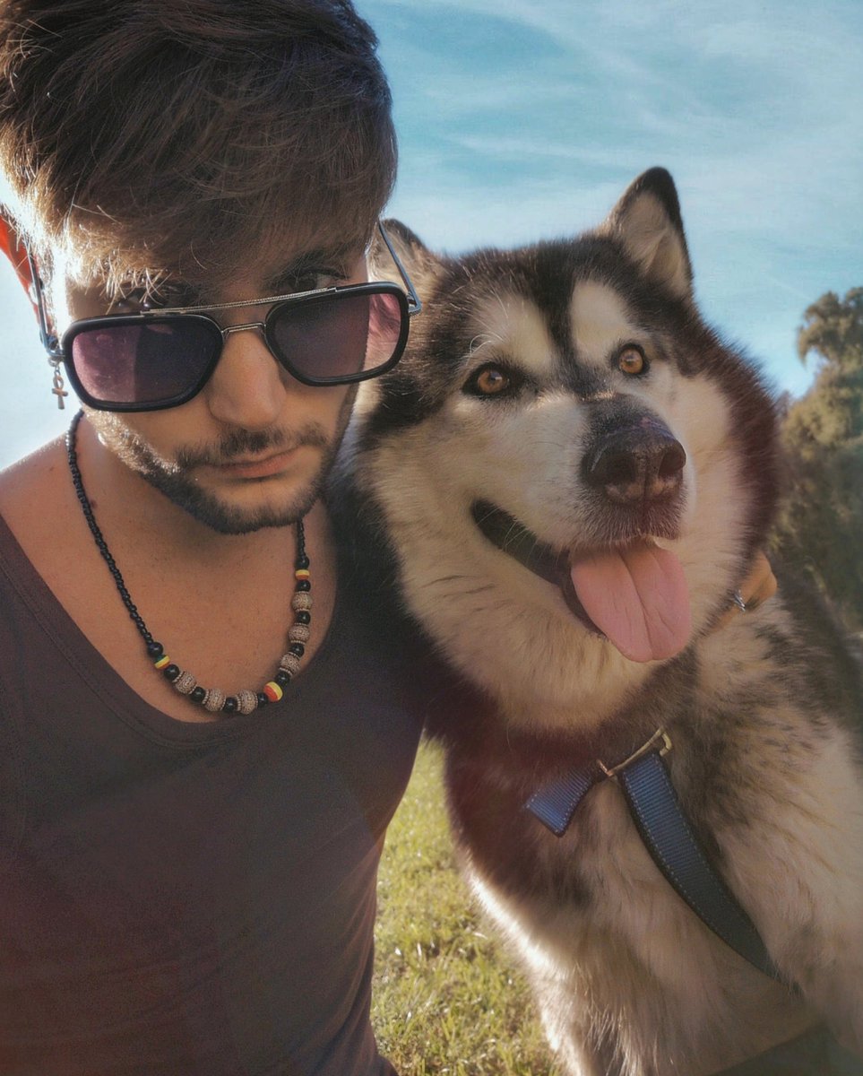 marklykos7's tweet photo. Hey, doggosss 🐺💙

#AlaskanMalamute #husky #siberianhusky #wolfdog #dogwolf #wolves #dogsonadventures #dogtrekking #doglife🐾 #snowdog #malamute #malamutes #wolf #dogandowner #dogandboy https://t.co/8GDENVGxxV