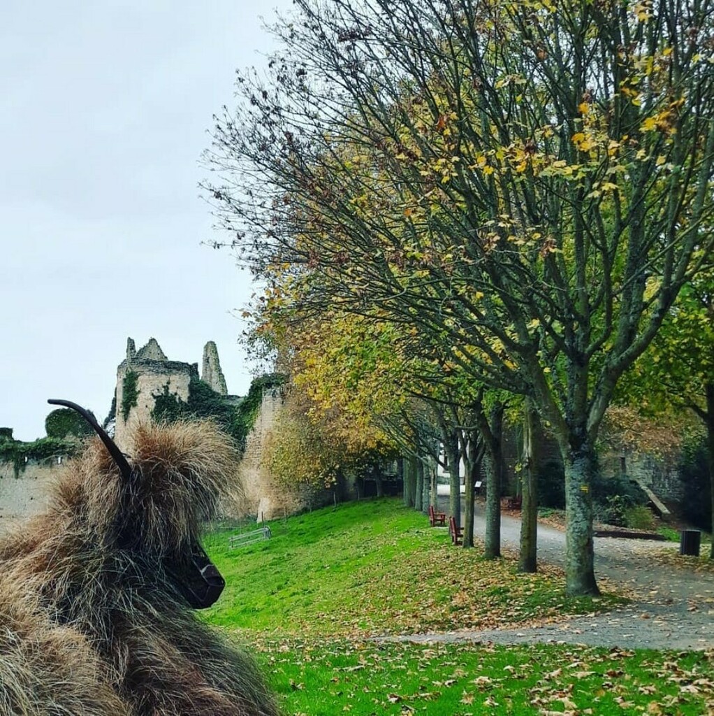 igersNiort's tweet photo. Hello les #igers, ce soir nous partons direction Bressuire📍, et plus précisément au château avec un animal surprenant à découvrir, bon c’est vrai on va attendre un peu...
•👏 merci @doret.j pour cette découverte et ce partage avec les tags 👉 #deuxsevr… https://t.co/raqawYYtSw https://t.co/UFXqomORX9