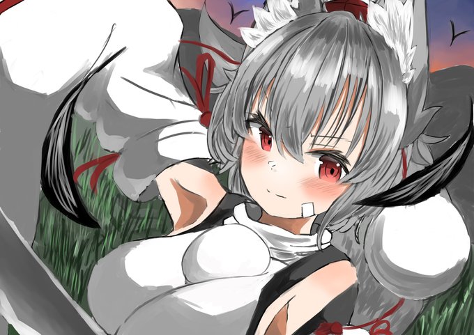 夕方と哨戒天狗 #東方 #犬走椛 https://t.co/LmbN8MewsQ 