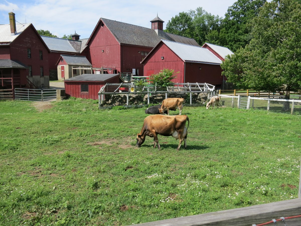 WestchesterPark's tweet photo. Weekly programs at Muscoot begin Sat + Sun, 11/14 + 15 through Dec! Free; registration required.
🐷 Saturday Hikes, 10am-11:30am: https://t.co/KH0o2bDeI0.
🐷 Tiny Talks, Sundays, 10am-11am: https://t.co/AZjvBrouxi.
Face masks required; social distancing in place. #mywestchester https://t.co/NzWovJOgj7