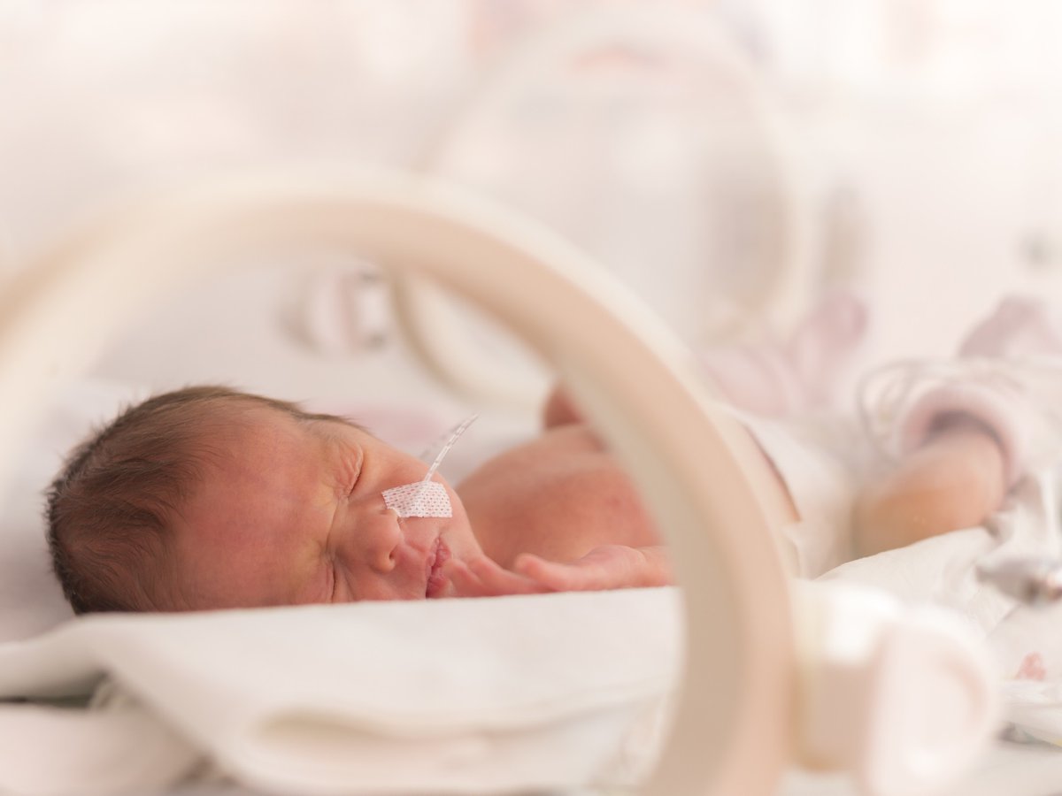 NEWS: Our delivery of the PReCePT programme, preventing cerebral palsy in pre-term babies in partnership with <a href="/ChelwestFT/">Chelsea and Westminster Hospital</a>, <a href="/WestMidHospital/">West Middlesex University Hospital</a> and 
<a href="/HillingdonNHSFT/">The Hillingdon Hospitals</a> has won an #HSJpatientsafety award for Best Partnership Solution Improving Patient Safety! bit.ly/3p9xD38