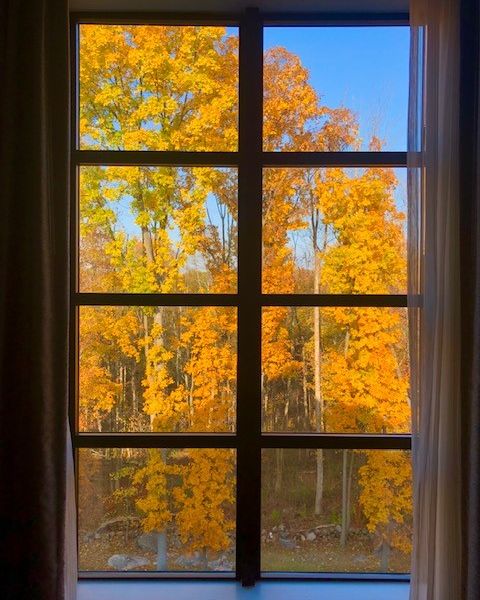 HZDTweets's tweet photo. Imagine waking up to this?! 🍂 🍃 Autumn taking over Connecticut and it's the perfect time for a staycation at Hotel Zero Degrees Danbury! 📲 Book now: https://t.co/cI8MzTIK5Z
.
.
.
.
#autumn #fallinct #connecticut #visitct #hotelzerodegrees #danbury https://t.co/cNdcKF1QRb