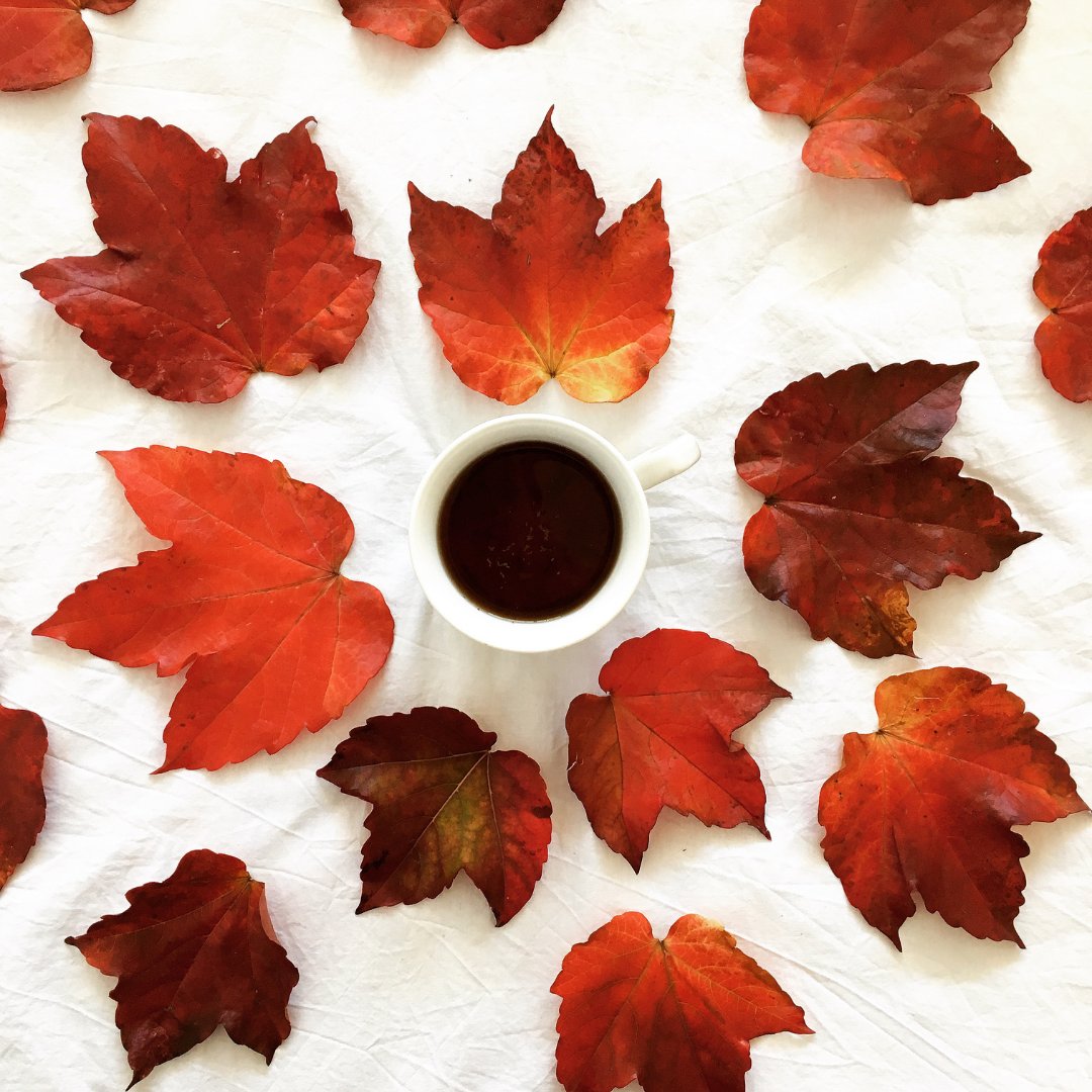 VitCoffee's tweet photo. The perfect autumn warm-up π βοΈ
#coffee #vitamincoffee #warmup #hotdrink #flatlay #coffeeflatlay #coffeeblogger #autumn #autumnvibes #autumnul #leaf #coffeelover #health #healthydrink #exercise https://t.co/04L4HxN22T
