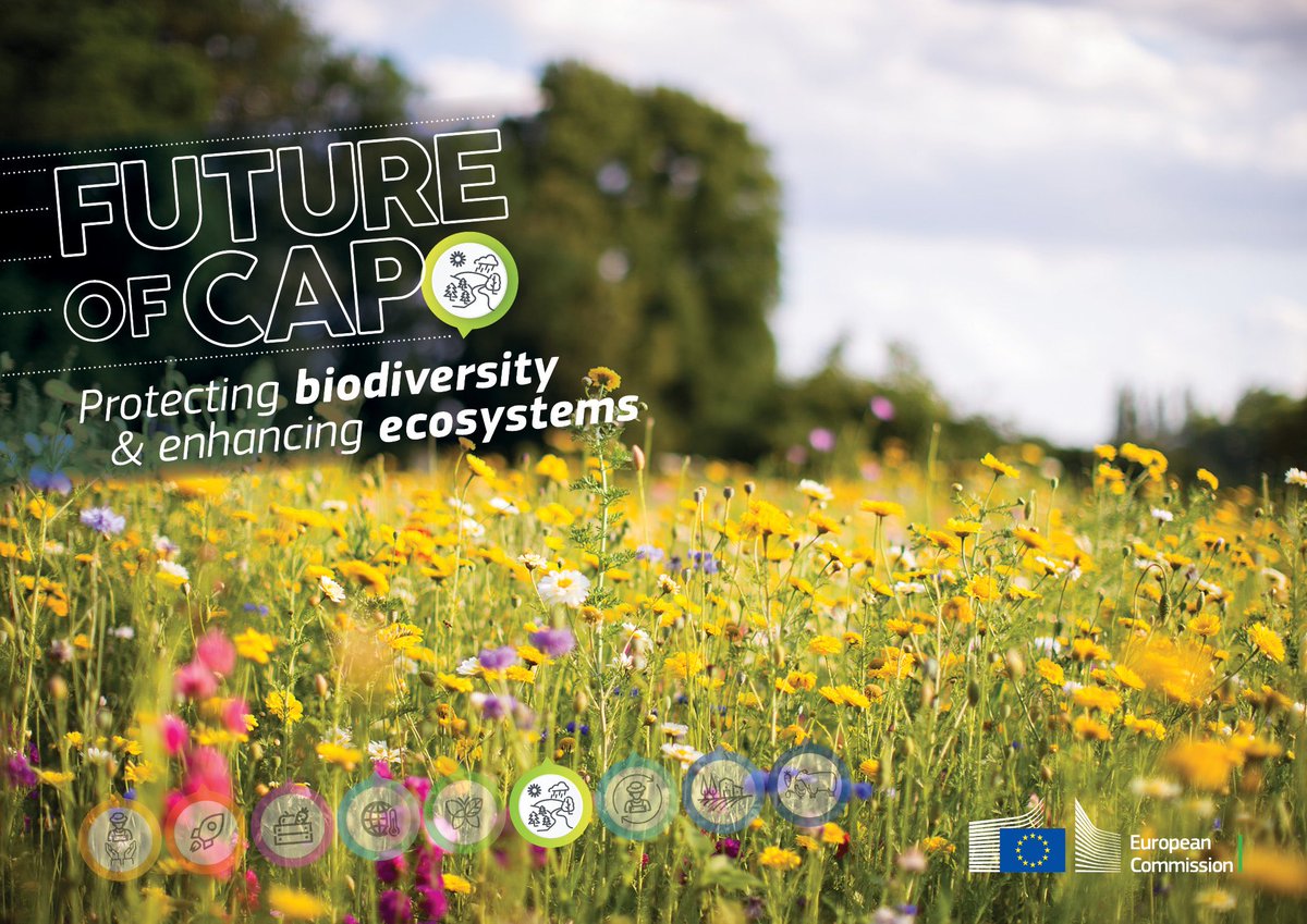 F__Timmermans's tweet photo. Today, Commissioner @jwojc and I started negotiations with @Europarl_EN and @EUCouncil on the Common Agricultural Policy. The Commission will be an honest broker and driving force for greater sustainability in the #CAP to deliver on the #EUGreenDeal objectives. https://t.co/v7cxICdiHS