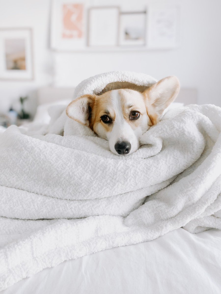 When you’re trying to post a cute video to Instagram but it’s down 😢