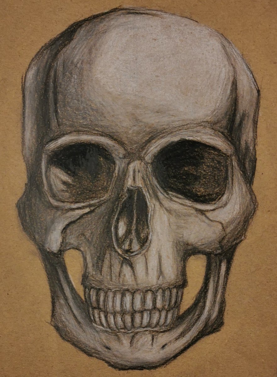 📣It's been a minute twitter! 📢
But we are back🥳. And ready to blow your minds with an absolutely stunning drawing by Zuzanna in ❗S1❗🤯😍👩🏼‍🎨
<a href="/1959Bath/">Archie Bathgate</a>
<a href="/AlisonCormack/">Alison Cormack</a>
<a href="/BrechinHigh1/">Brechin High School</a>

#thisisbrechin #art #davinci #skull