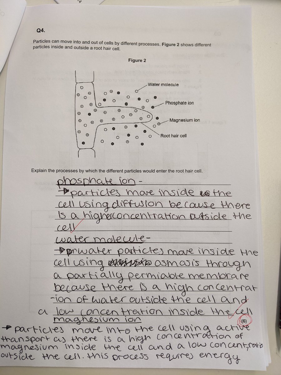 MissCBHyde's tweet photo. I had a 'proud teacher moment' today marking year 9 biology assessments. Beautifully written 6 mark questions, exactly in the format I modelled for them during lessons ☺️ #HNStastic @hackneynewsch https://t.co/SarJdlY5xq