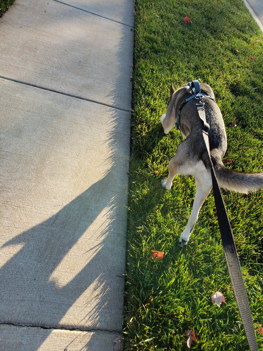 Casey Olearnick tweet media