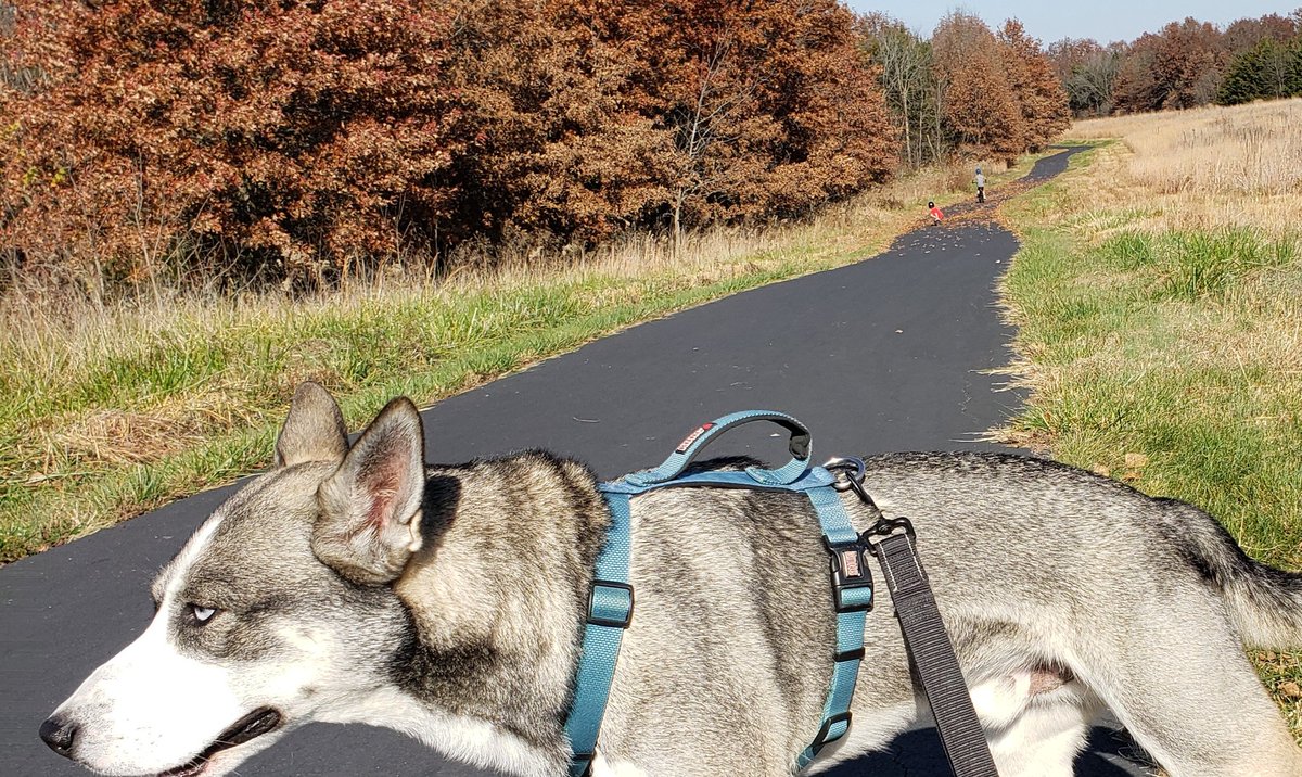 Casey Olearnick tweet media