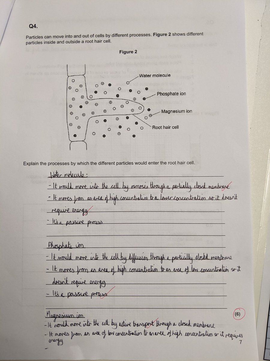 MissCBHyde's tweet photo. I had a 'proud teacher moment' today marking year 9 biology assessments. Beautifully written 6 mark questions, exactly in the format I modelled for them during lessons ☺️ #HNStastic @hackneynewsch https://t.co/SarJdlY5xq