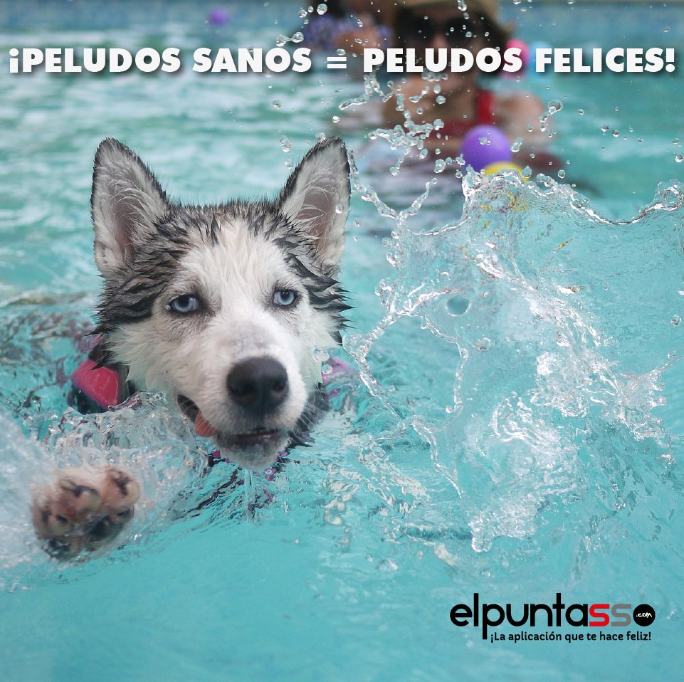 ¡TODO PARA TU MASCOTA!

¡Sabemos que son uno más de la casa! ¡Cuídalos como se merece! Haz click en el enlace: 
ow.ly/phmc50Cglq6