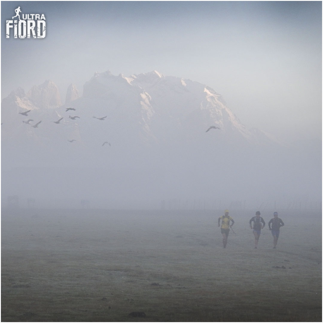 🏔"... Es el alba dudosa"🏔⁣⁣

⁣⁣ultrafiord.com
#UltraFiord #UltraFiord2021 #Alba #Niebla #MistyMorning #Trail #TrailRunning #UltraTrail #UltraRunning #TrailRunner #UltraRunner #PatagoniaChilena #RacingPatagonia