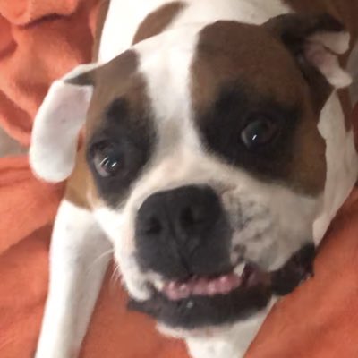 ffabbius's tweet photo. #NovaFotoDoPerfil https://t.co/Un5U3cu5H4