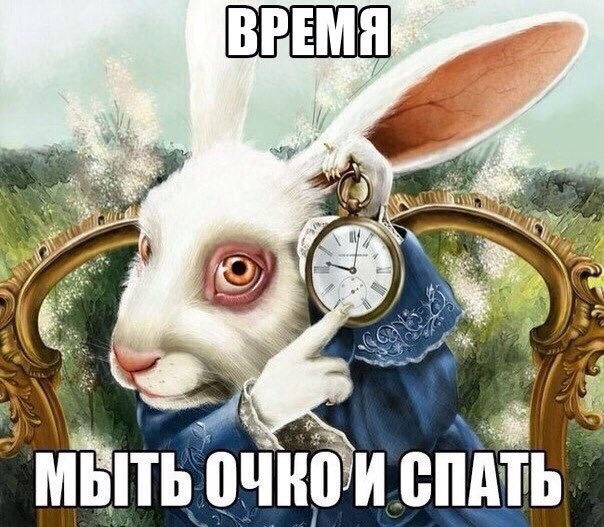 Emf-JB6XEAMXrdA?format=jpg&name=small