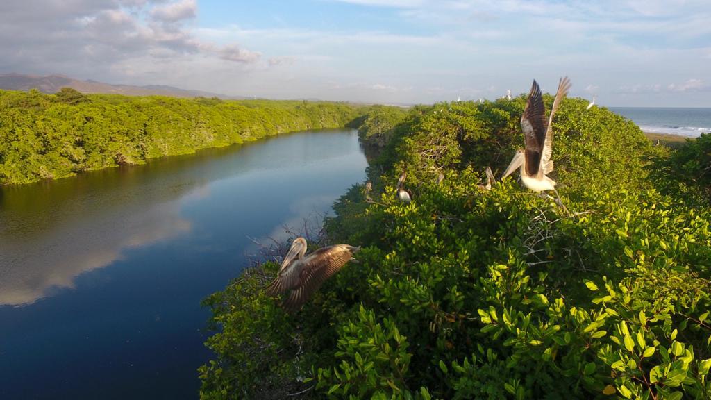 Trasfondo_Oax's tweet photo. 😍🏞 #Oaxaca, entidad privilegiada en biodiversidad
#FOTOS: Especialistas del #CIIDIROaxaca y del #ITVO dialogaron respecto al estado actual, retos y oportunidades sobre el legado tangible e intangible de la entidad https://t.co/dboB7TIj2m