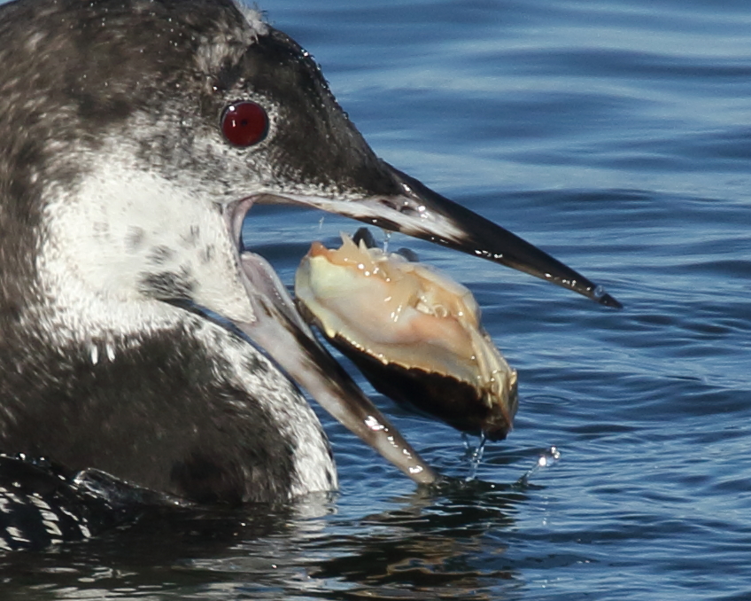 John Reynolds tweet media