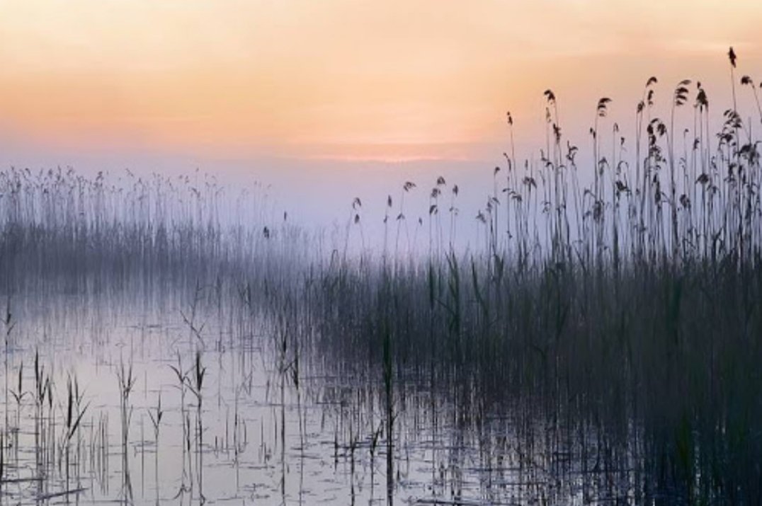 We still have too little respect for nature.   S. Freud.

R. Biculcius