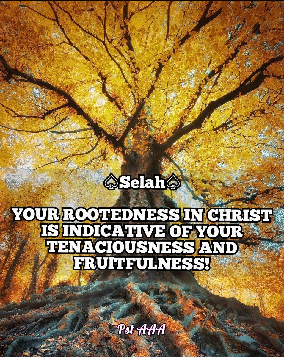 HouseOfFaithmin's tweet photo. #hofgo
#selah
#householders
#PstAAA
#PerfectMagnification https://t.co/WXD4w6wQbe