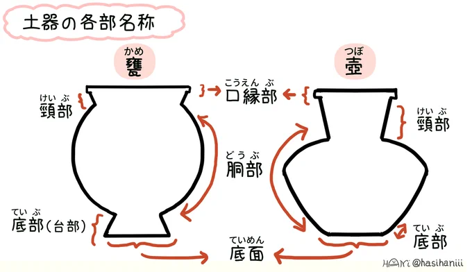 前ツイート絵の修正版。甕(かめ)の頸部を忘れてた!甕にも頸部あるよ。教えていただきありがとうございます!
#古代妄想画 