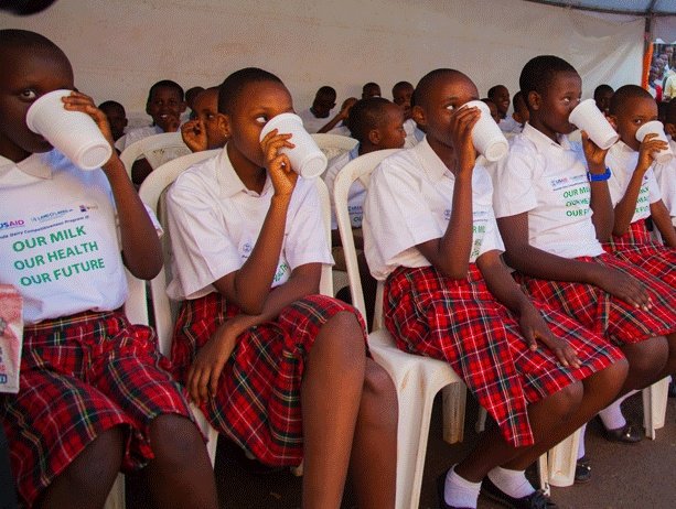 RwandaDairy's tweet photo. According to the @WHO's report says that in order to be healthy, everyone should drink at least 200 liters of milk a year.

#Rwanda is one of the countries in the world &amp; Africa that has made efforts to educate its citizens especially youth on the importance of drinking milk. https://t.co/6qzateDWFp