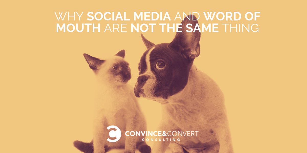 COMM3724Janse's tweet photo. Next time before you share content of a cat/dog/lion/elephant/squirrel... etc. Think about how popularity will influence their lives. 
Does the animal get forced or abused into posing and doing a trick... OR is it a cry for help, to raise awareness. https://t.co/goPtMnbiPM