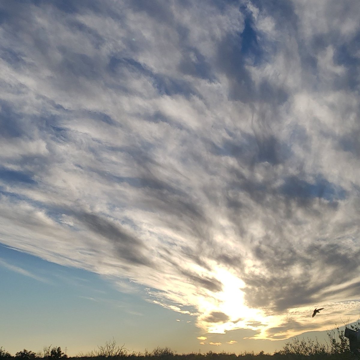 Nature at its finest...blow the picture up and see the bird diving into the lake, it looks like a flying shark❤ #Peace #Queendom

Photo cred:Me😘