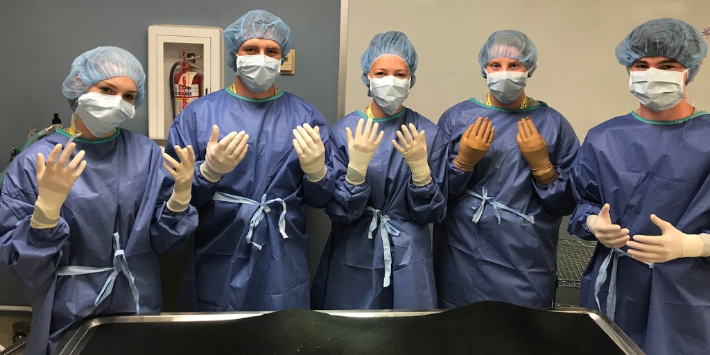 pucvm's tweet photo. Apply now for Boiler Vet Camp!
Its our very own 1-week trip inside the life of a DVM student, and applications are now open!
Visit https://t.co/1o3NjGps9q or email boilervetcamp@purdue.edu for more info!
#PurdueVetMed #BVC2021 #vetlife @AVMAvets @VetTechs @LifeAtPurdue https://t.co/Fe9c082VeD