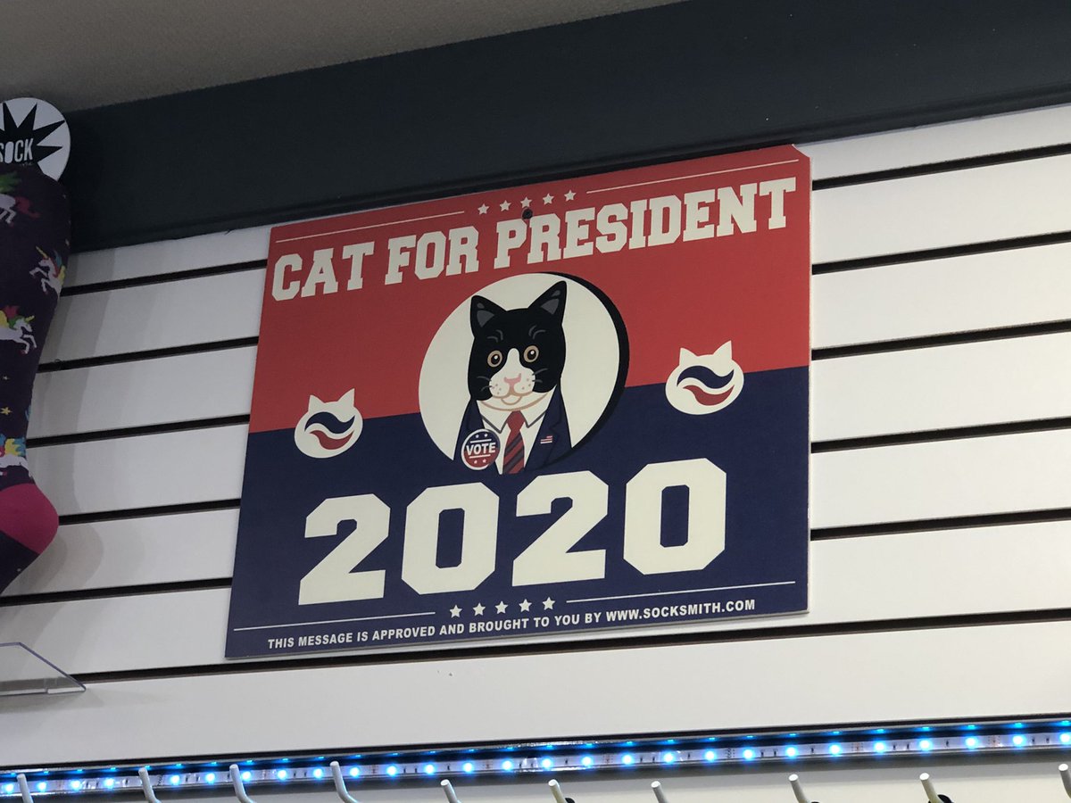 SporklessHiker's tweet photo. Sounds like a wonderful idea #siamese #cat #catforpresident #Siamesecat #CatsOfTwitter #CatsOnTwitter #catsofinstagram ๐ป๐๐ธ https://t.co/mWHZNxzFko