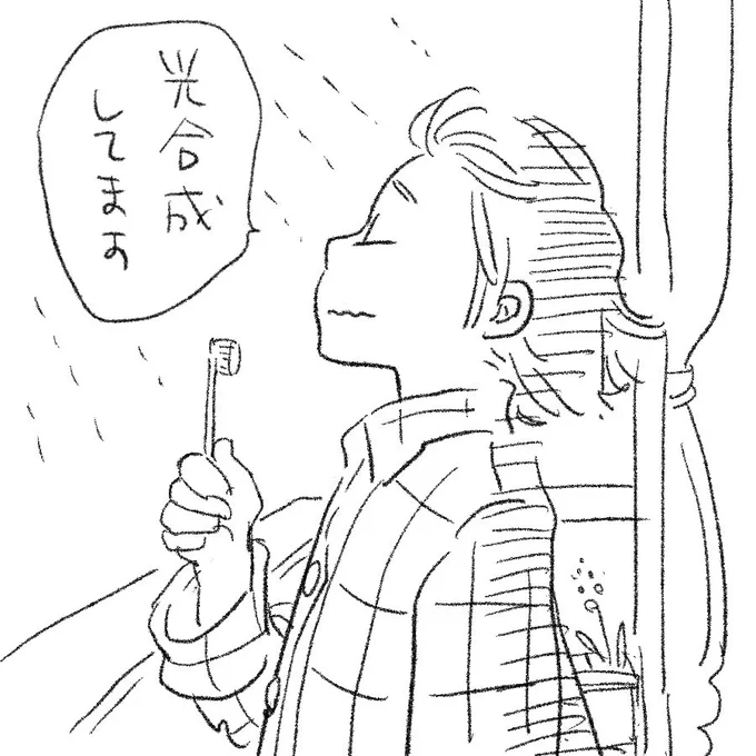 いいお天気なので 
