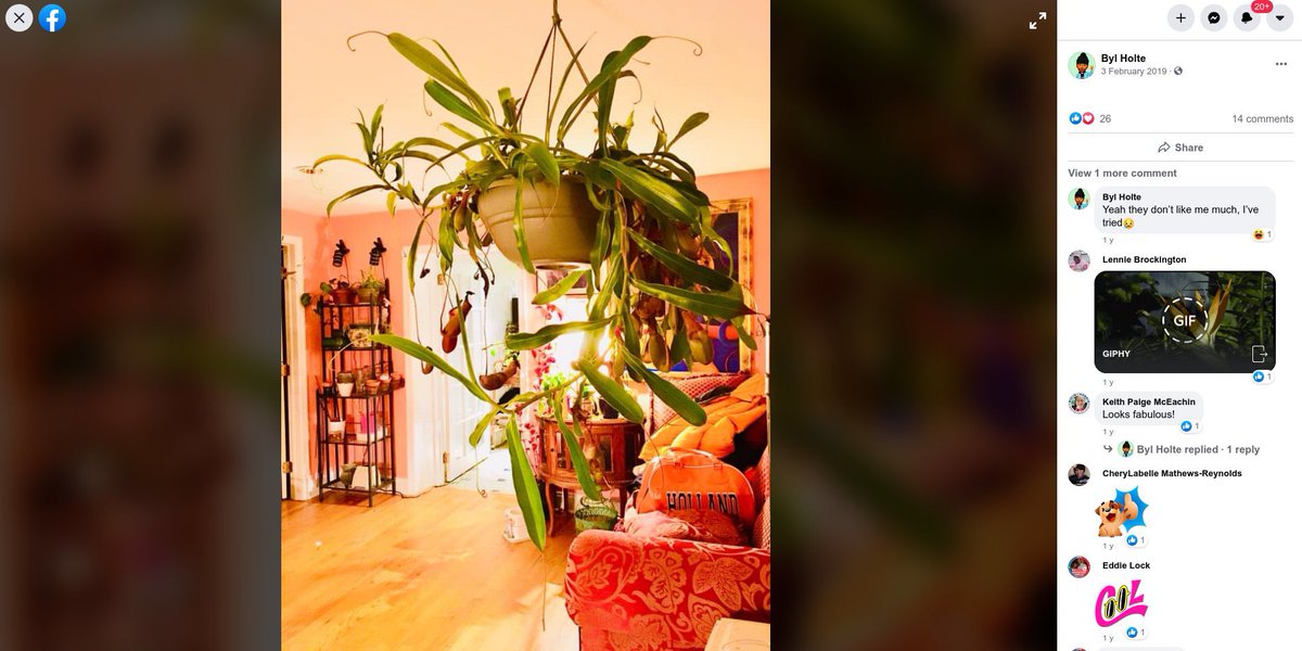 more proof that “dan purdy” is in fact william holte: the painting in the background of this facebook post