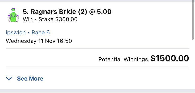 puntaaa93's tweet photo. Good morning puntaasss, find attached the plays for today! Couldn’t believe my little eyeballs when watching the replay of Kuna Magic at the Sapphire Coast on debut! Grey Flash 2.0?! ⚡️ good luck all if having a play today 🤪💸 @betbrosau #bestbets #greyflash https://t.co/r3sosLT0CZ