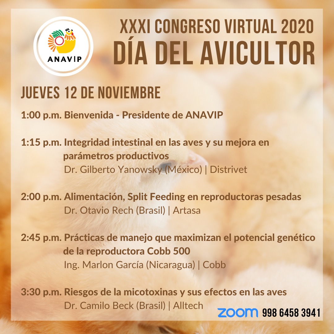 ANAVIP507's tweet photo. Los invitamos a participar del XXXI Congreso Nacional de Avicultura en su versión virtual los días 12 y 13 de noviembre. Es gratuito y abierto al público. ¡Los esperamos!
(Hora de Panamá)
#ANAVIP #Avicultura #medicosveterinarios #MiPolloNacional #avicultor #pollo #huevo https://t.co/hptl9VZ0da