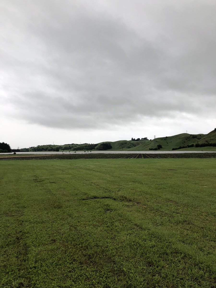 Nice little lake at Puketapu. Wasn’t there 2 days ago