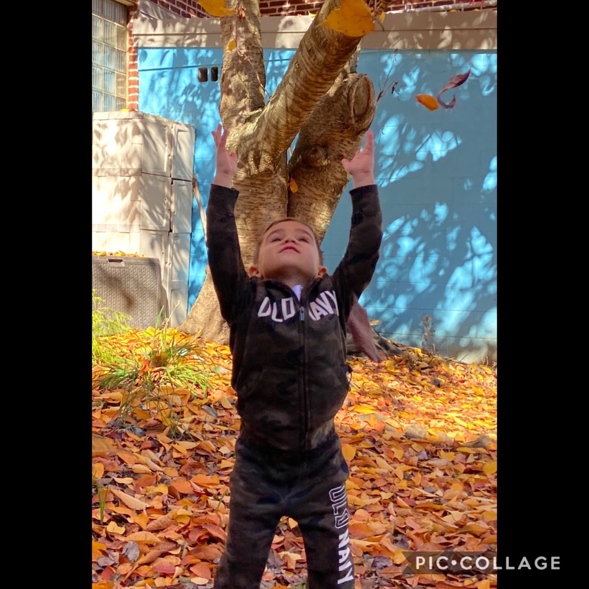 torroned's tweet photo. Live In the moment ❤️🍁🍂
#MTPSpride @MVS_Griffins https://t.co/ookUZeDunh