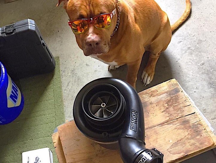 TurbologyLLC's tweet photo. Does it get any better than turbos and doggos?
β’
Via: #ThatRacingChannel
β’
#turbology #turbocharged #singleturbo #twinturbo #turbo #drifting #drift #hillclimb #timeattack #rallye #rally #exoticcars #exoticcar #supercars #supercar #racecars #racecar #dogslife #doglife #dogs #dog https://t.co/ASANnCnumz