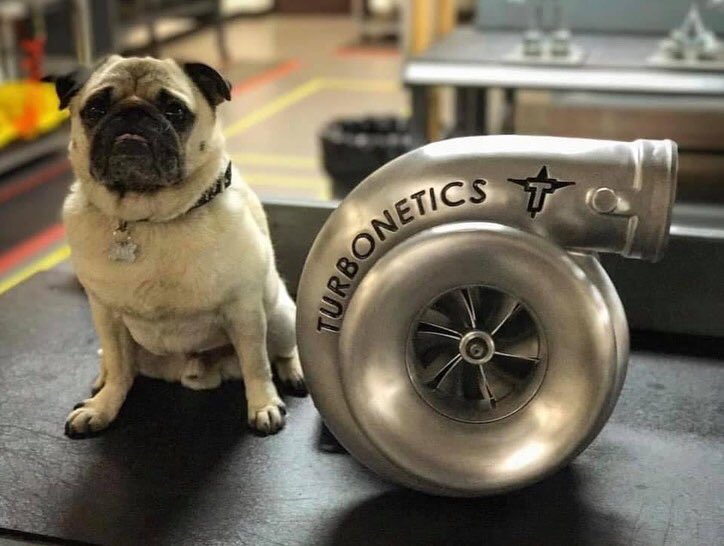 TurbologyLLC's tweet photo. Does it get any better than turbos and doggos?
β’
Via: #ThatRacingChannel
β’
#turbology #turbocharged #singleturbo #twinturbo #turbo #drifting #drift #hillclimb #timeattack #rallye #rally #exoticcars #exoticcar #supercars #supercar #racecars #racecar #dogslife #doglife #dogs #dog https://t.co/ASANnCnumz