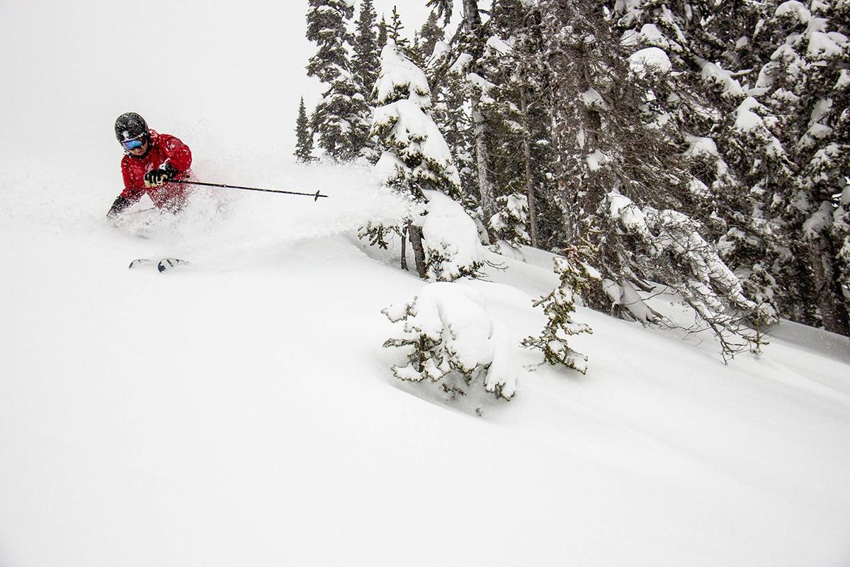 IAmASnowSeeker's tweet photo. Get ready for GIANT snow-fall records that turn even the parking lots into a winter wonderland.
Here is a handy cheatsheet to #SkiNorthBC right from the locals themselves.
https://t.co/MaGbv5vAVA
#skithenorth #Powderking #pkallday #ExploreWells
#travelnorthernbc #ExploreBC https://t.co/XZs6iGTM1U