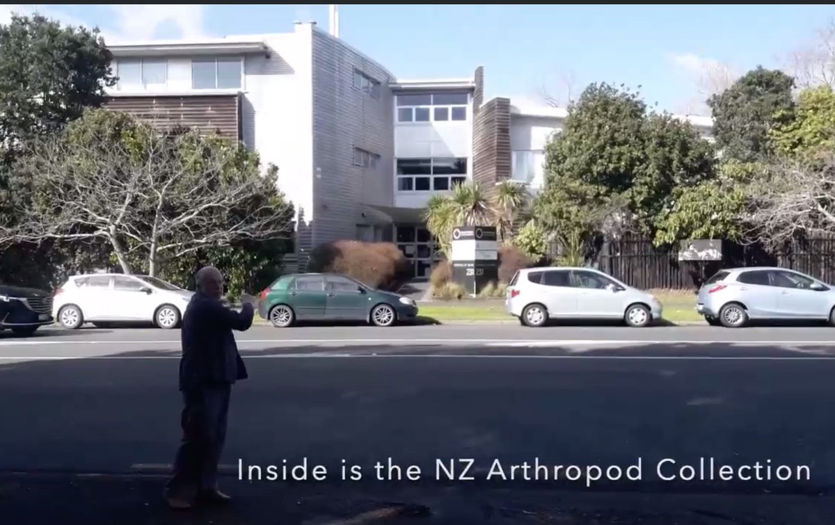 EntCollNet's tweet photo. #VirtualCollectionTour: Rich Leschen now serenades us AND shows us around @mwlr_nz New Zealand Arthropod Collection in Auckland, New Zealand. The largest collection in NZ! #ECN2020 https://t.co/S4HVetXtL0